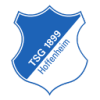 hoffenheim_128